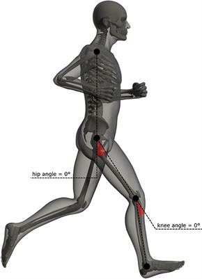 Runners Adapt Different Lower-Limb Movement Patterns With Respect to Different Speeds and Downhill Slopes